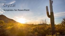  Presentation with saguaro - Slide set having saguaro-cactus-in-organ-pipe background and a light blue colored foreground