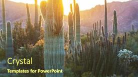  Presentation with saguaro - PPT theme with saguaro-cactus-in-organ-pipe background and a tawny brown colored foreground