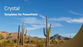  Presentation with saguaro - Theme with saguaro-cactus-in-organ-pipe background and a teal colored foreground