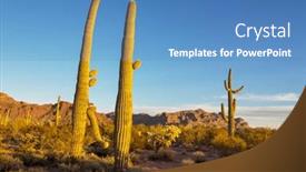  Presentation with saguaro - Presentation theme having saguaro-cactus-in-organ-pipe background and a teal colored foreground