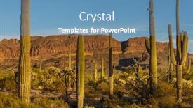  Presentation with saguaro - Presentation theme with saguaro-cactus-in-organ-pipe and a teal colored foreground