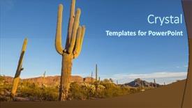  Presentation with saguaro - PPT theme with saguaro-cactus-in-organ-pipe and a ocean colored foreground