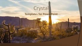  Presentation with saguaro - Theme enhanced with saguaro-cactus-in-organ-pipe and a lemonade colored foreground