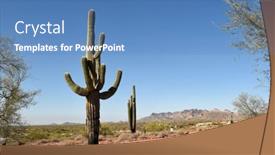  Presentation with saguaro - Slides with saguaro-cactus-in-the-tonto background and a teal colored foreground