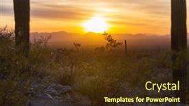  Presentation with saguaro - Presentation having saguaro-cactus-park-usa background and a tawny brown colored foreground