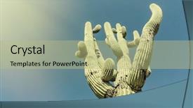  Presentation with saguaro - Slides with saguaro cactus tree imag cross background and a mint green colored foreground