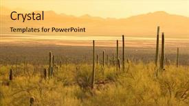  Presentation with saguaro - Audience pleasing presentation design consisting of saguaro national park in sonoran backdrop and a yellow colored foreground