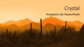  Presentation with saguaro - PPT theme with saguaro national park in sun background and a light gray colored foreground