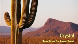  Presentation with saguaro - Slide deck consisting of saguaro national park background and a tawny brown colored foreground