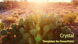  Presentation with saguaro - Colorful slides enhanced with saguaro national park backdrop and a tawny brown colored foreground