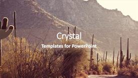  Presentation with saguaro - Colorful PPT theme enhanced with saguaro national park backdrop and a coral colored foreground