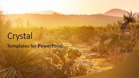  Presentation with saguaro - Theme featuring saguaro national park background and a gold colored foreground