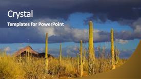  Presentation with saguaro - Audience pleasing presentation consisting of saguaro national park backdrop and a ocean colored foreground