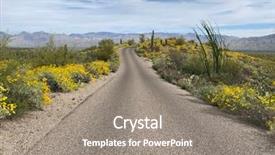 Presentation with saguaro - PPT layouts with saguaro national park background and a gray colored foreground