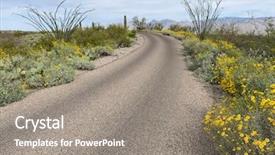  Presentation with saguaro - Presentation design featuring saguaro national park background and a gray colored foreground