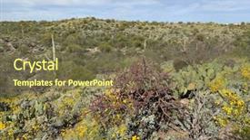  Presentation with saguaro - Colorful presentation design enhanced with saguaro national park backdrop and a tawny brown colored foreground