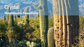  Presentation with saguaro - Amazing PPT theme having saguaro national park backdrop and a teal colored foreground