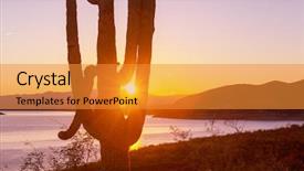  Presentation with saguaro - Amazing slides having saguaro national park backdrop and a gold colored foreground