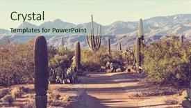  Presentation with saguaro - Beautiful presentation theme featuring saguaro national park backdrop and a sky blue colored foreground