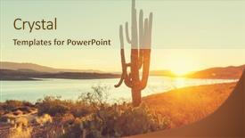  Presentation with saguaro - Cool new presentation design with saguaro national park backdrop and a soft green colored foreground