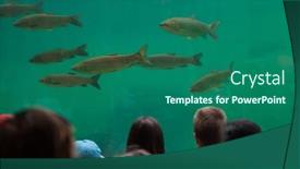  Presentation with zoo - 