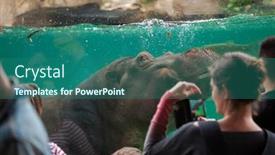  Presentation with zoo - Amazing presentation theme having saint-aignan-france-june-30 backdrop and a ocean colored foreground