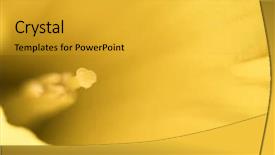  Presentation with daffodil - Presentation enhanced with saint davids - extreme close up background and a  colored foreground