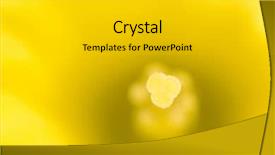  Presentation with daffodil - Presentation theme enhanced with saint davids - extreme close up background and a  colored foreground