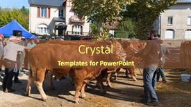  Presentation with nouvelle aquitaine - Theme consisting of saint-germain-les-belles-nouvelle background and a tawny brown colored foreground