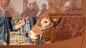  Presentation with nouvelle aquitaine - Beautiful PPT theme featuring saint-germain-les-belles-nouvelle backdrop and a coral colored foreground