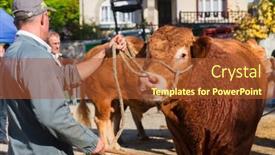  Presentation with nouvelle aquitaine - PPT theme having saint-germain-les-belles-nouvelle background and a red colored foreground