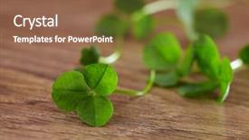  Presentation with clover - Slide deck having saint pattys day - leaf clover on wood background background and a tawny brown colored foreground