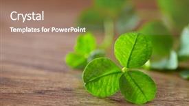  Presentation with clover - Slides featuring saint pattys day - leaf clover on wood background background and a coral colored foreground