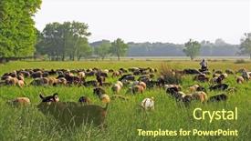  Presentation with saint - Presentation enhanced with saint tropez on the french background and a tawny brown colored foreground