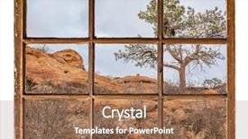  Presentation with sandstone - PPT theme consisting of saish - pine tree with magpie nest background and a tawny brown colored foreground