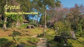  Presentation with chiang mai - Amazing PPT theme having sakura blooming in doi pui backdrop and a tawny brown colored foreground