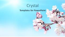  Presentation with sunny sky - Audience pleasing theme consisting of sakura-flowers-and-butterfly backdrop and a arctic colored foreground