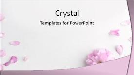  Presentation with sakura - Presentation design consisting of sakura flowers and petals background and a white colored foreground