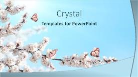 Presentation with butterflies - PPT theme enhanced with sakura-flowers-and-three-monarch background and a cool aqua colored foreground