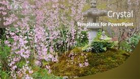  Presentation with sakura - Colorful presentation theme enhanced with sakura in japanese garden backdrop and a coral colored foreground