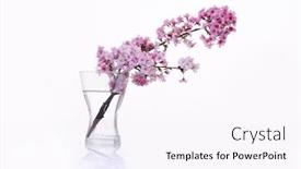  Presentation with sakura - Theme featuring sakura-pink-cherry-blossom background and a sky blue colored foreground