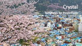  Presentation with sakura - Colorful presentation theme enhanced with sakura tree at gamcheon culture backdrop and a gray colored foreground