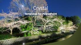  Presentation with sakura - Audience pleasing PPT theme consisting of sakura tree with lake at night backdrop and a ocean colored foreground