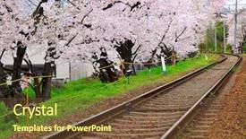  Presentation with sakura - PPT theme enhanced with sakura tree with railroad background and a tawny brown colored foreground