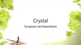  Presentation with border - Slide set enhanced with sentiments from a tropical sand background and a lemonade colored foreground