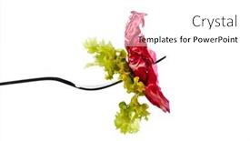  Presentation with organic foods - Slide set featuring salad-and-vegetables background and a white colored foreground