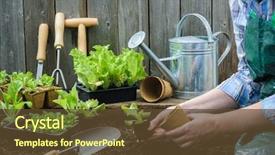  Presentation with vegetable garden - Slides with salad in the vegetable garden background and a tawny brown colored foreground