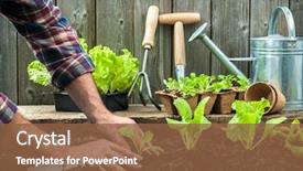  Presentation with vegetable garden - Beautiful PPT theme featuring salad in the vegetable garden backdrop and a tawny brown colored foreground