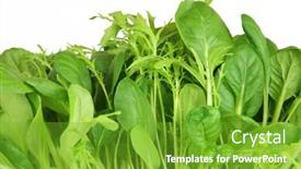  Presentation with salad - Amazing presentation theme having salad-leaf-selection-of-pak backdrop and a tawny brown colored foreground