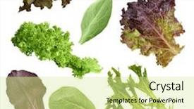  Presentation with leaves - Slides consisting of salad-leaves-collection-isolated background and a blonde colored foreground